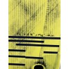 DUOTONE BLUR D/LAB 5'6  2025  OCCASION