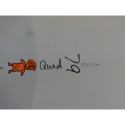 STARBOARD QUAD CARBON 79 L  2015   OCCASION